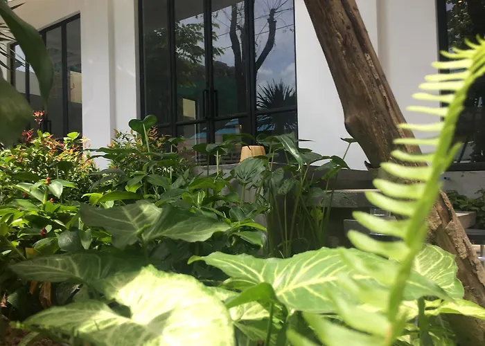 Hotel Aqua 4*